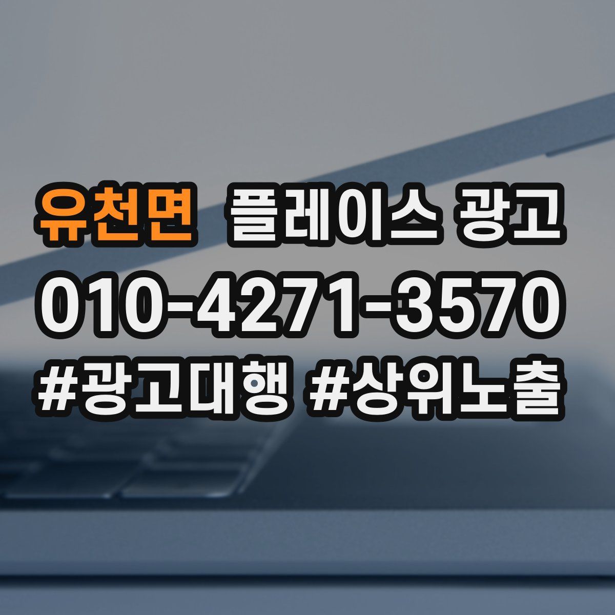 유천면 플레이스 광고