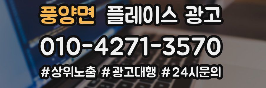 풍양면 플레이스 광고