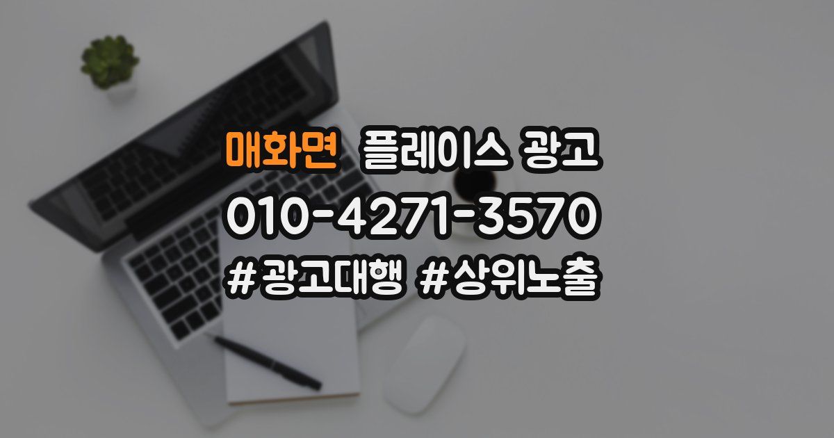 매화면 플레이스 광고
