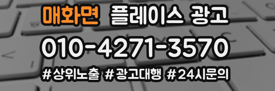매화면 플레이스 광고