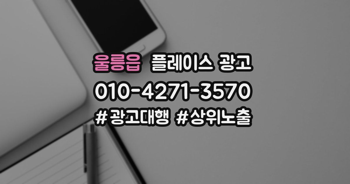 울릉읍 플레이스 광고