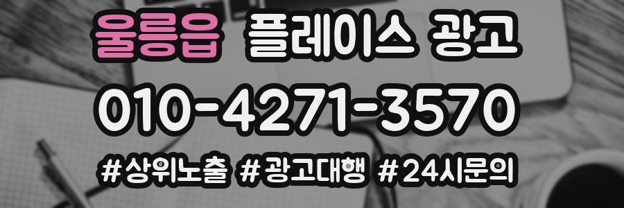 울릉읍 플레이스 광고