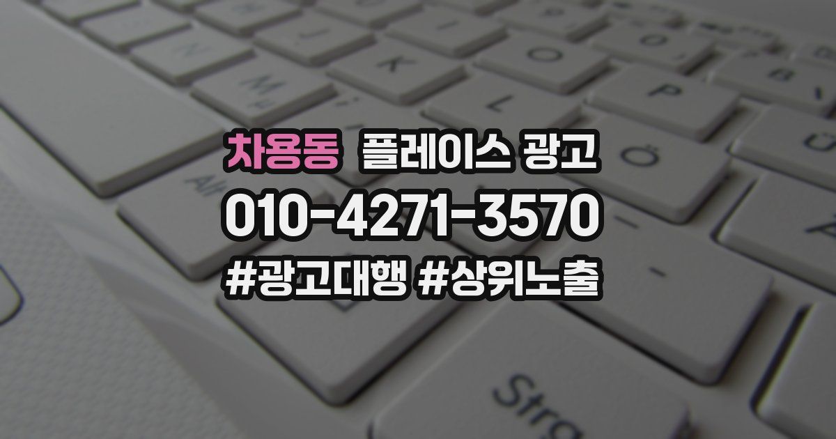 차용동 플레이스 광고