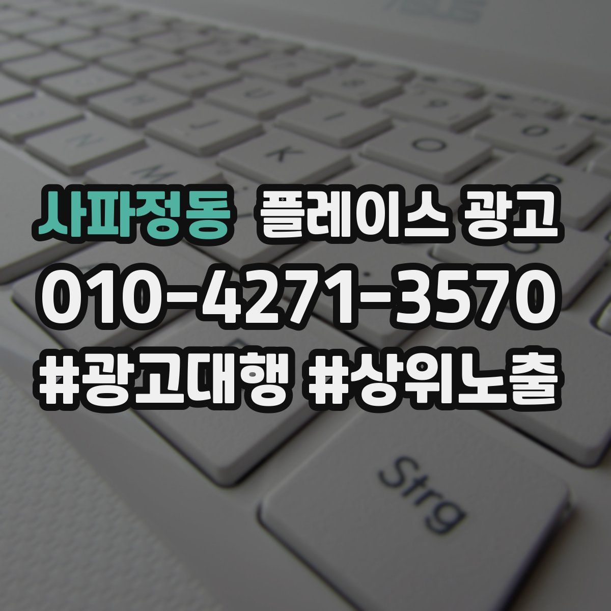 사파정동 플레이스 광고