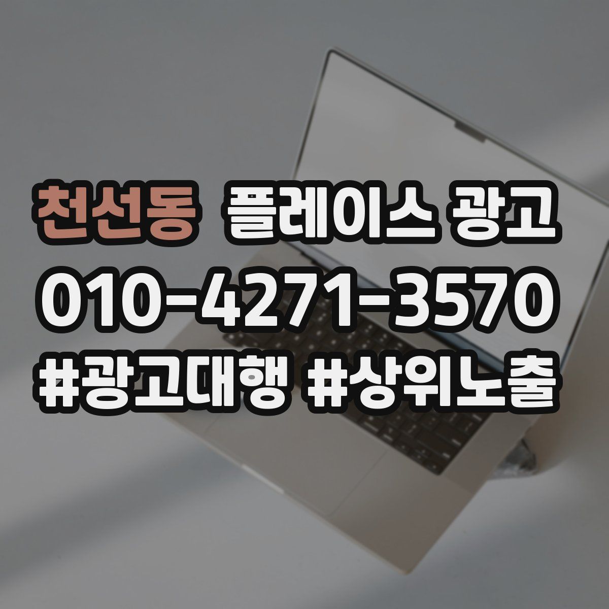 천선동 플레이스 광고