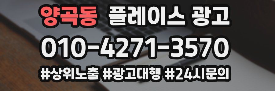양곡동 플레이스 광고