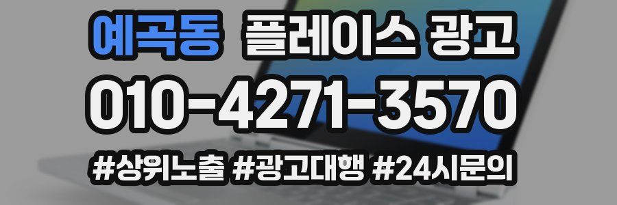 예곡동 플레이스 광고