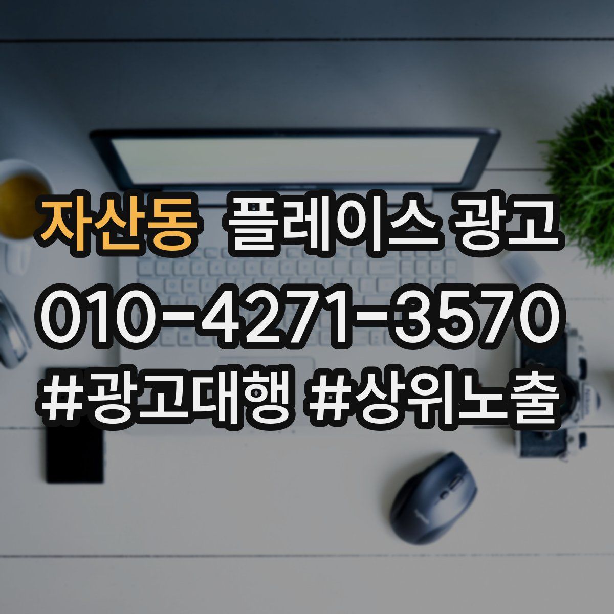 자산동 플레이스 광고