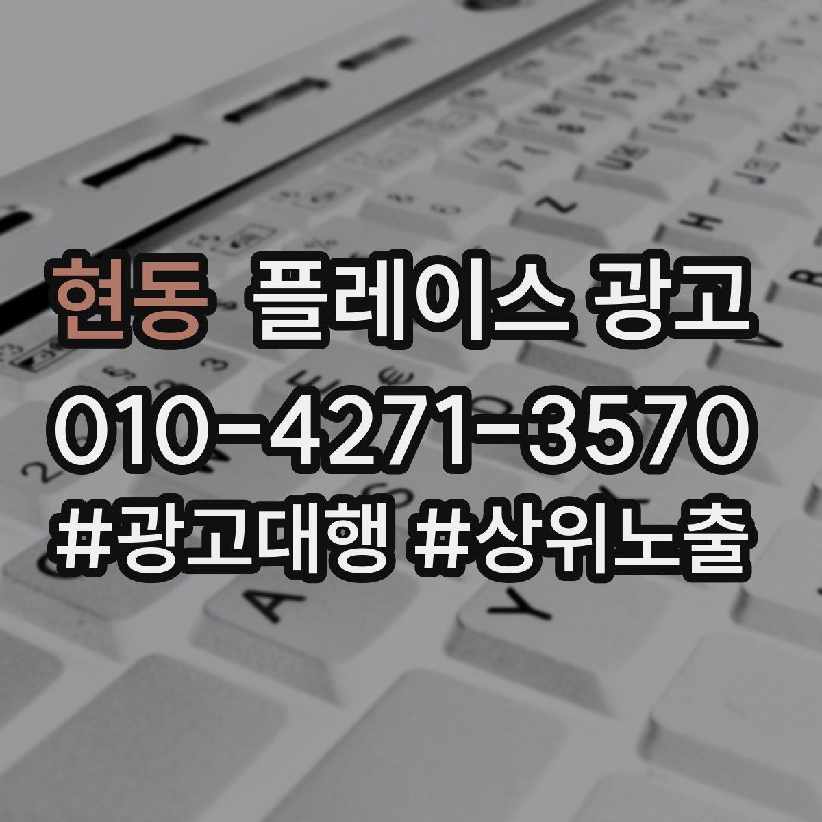 현동 플레이스 광고