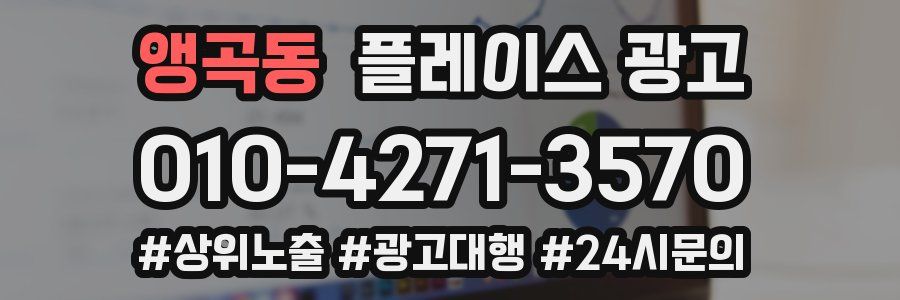 앵곡동 플레이스 광고