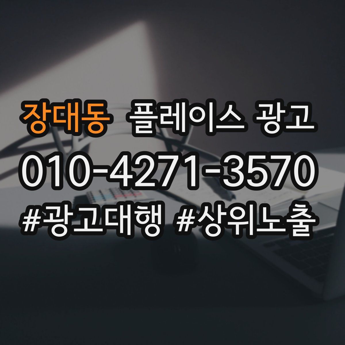 장대동 플레이스 광고