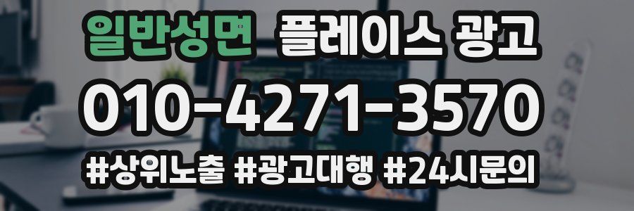 일반성면 플레이스 광고