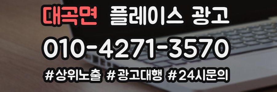 대곡면 플레이스 광고