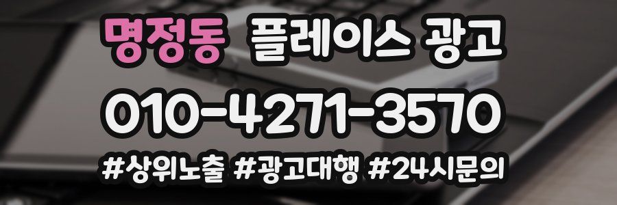 명정동 플레이스 광고