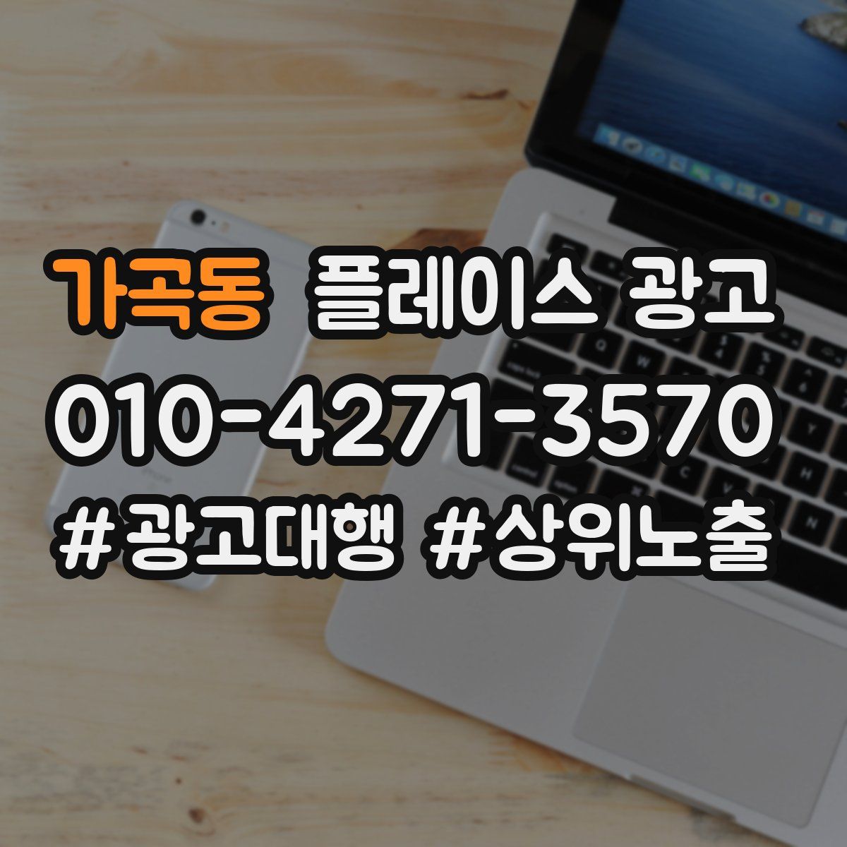 가곡동 플레이스 광고