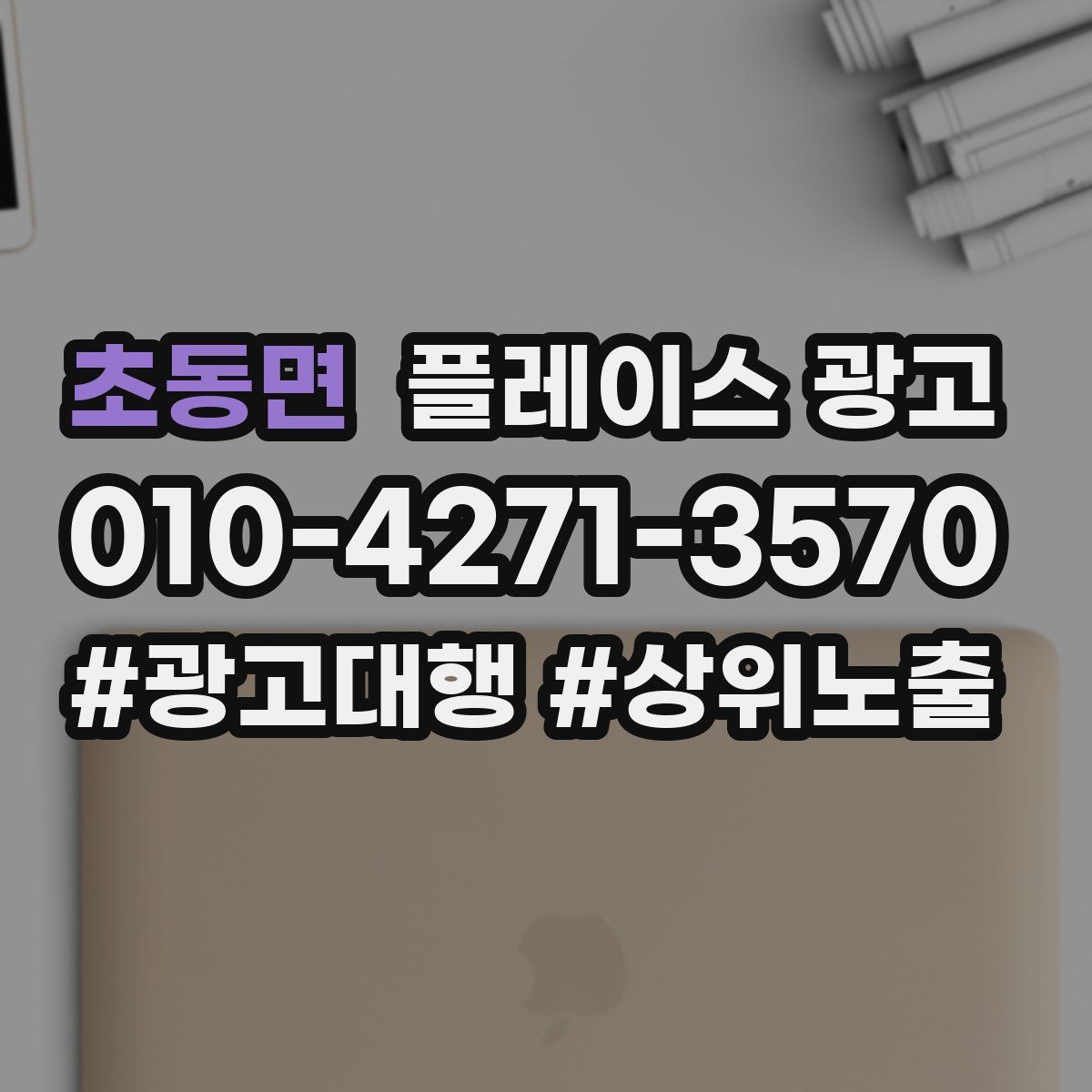 초동면 플레이스 광고