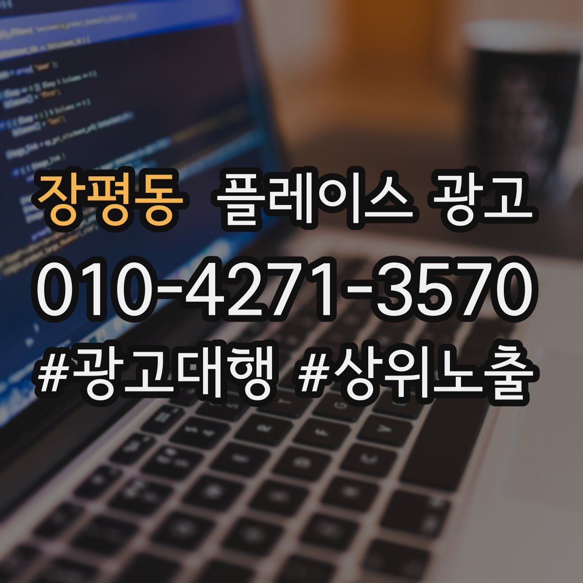 장평동 플레이스 광고