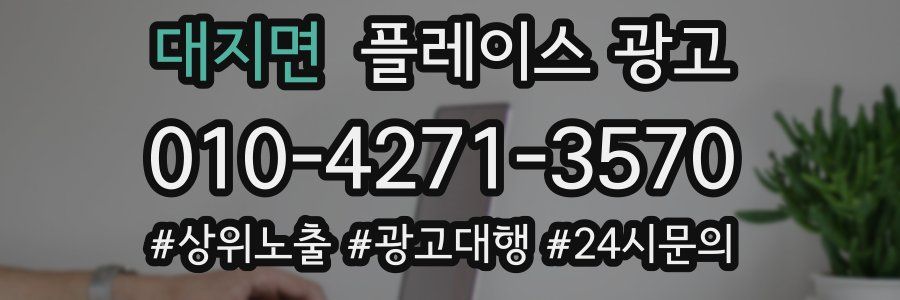 대지면 플레이스 광고