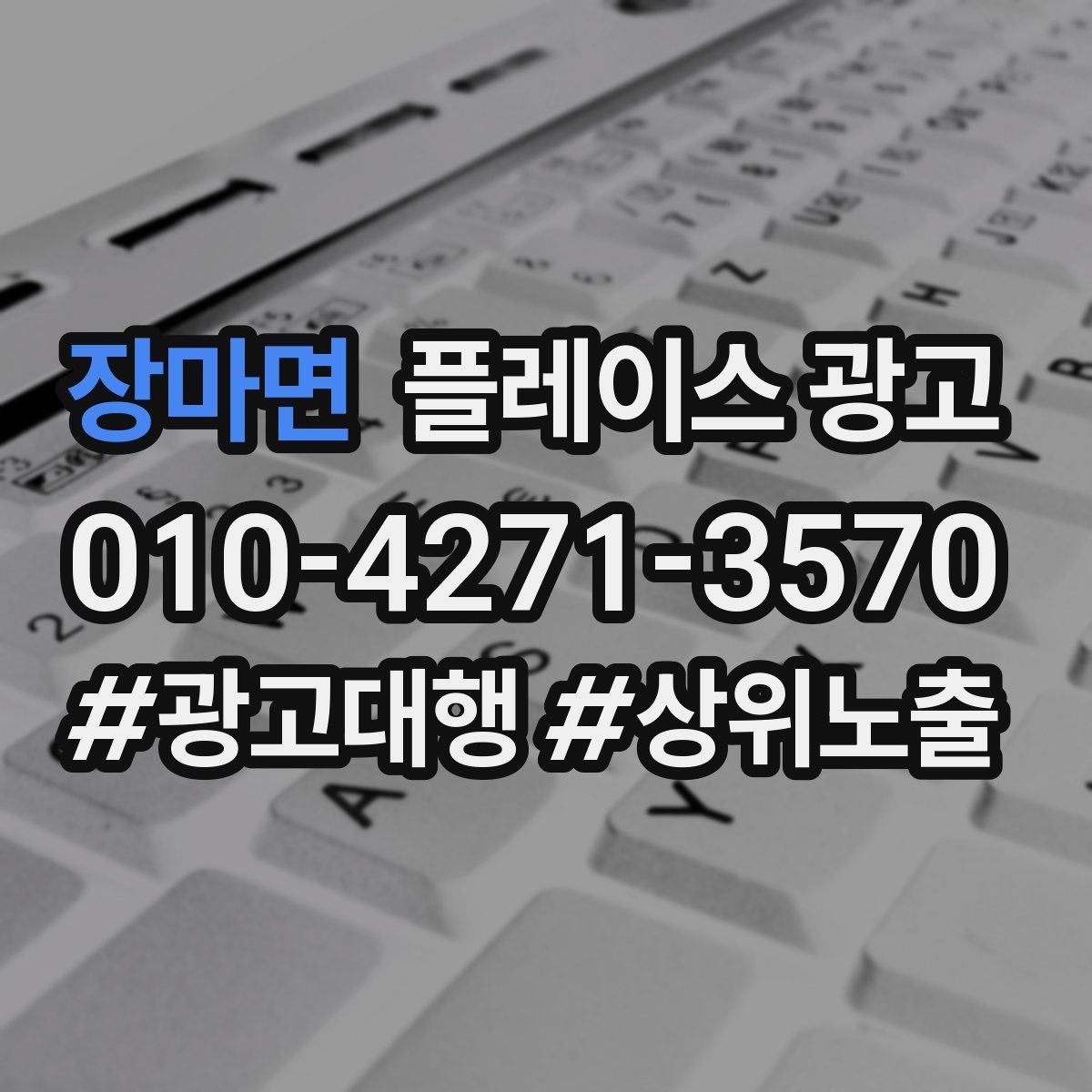 장마면 플레이스 광고