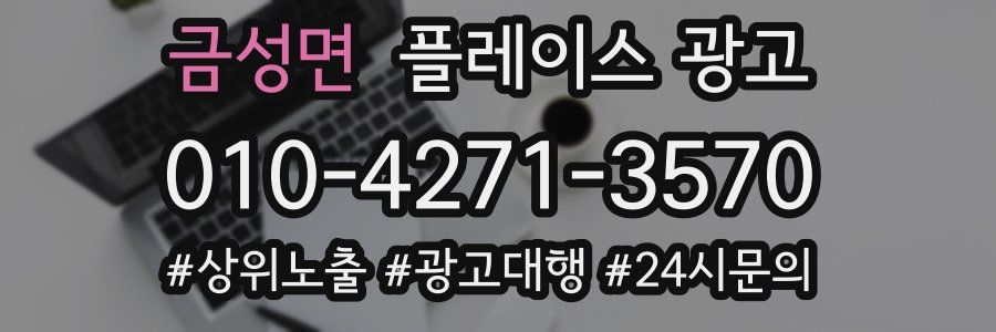 금성면 플레이스 광고