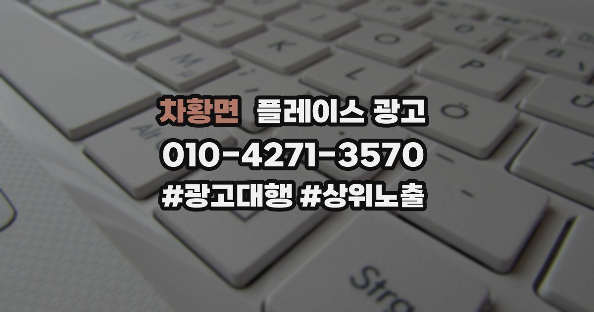 차황면 플레이스 광고
