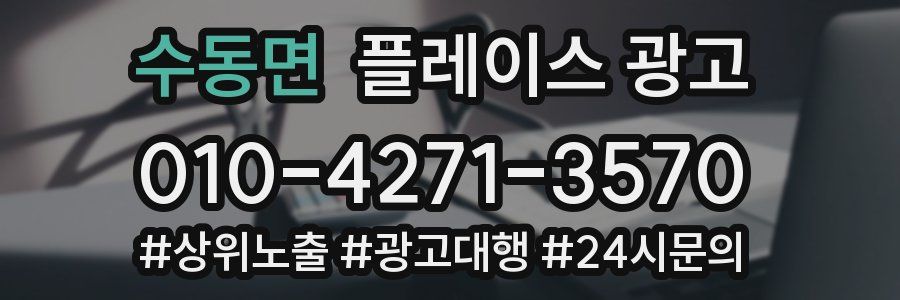 수동면 플레이스 광고
