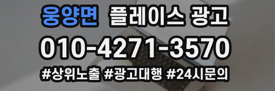 웅양면 플레이스 광고