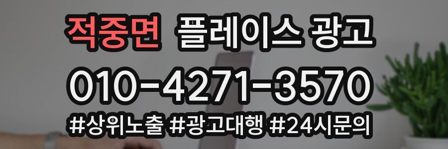 적중면 플레이스 광고