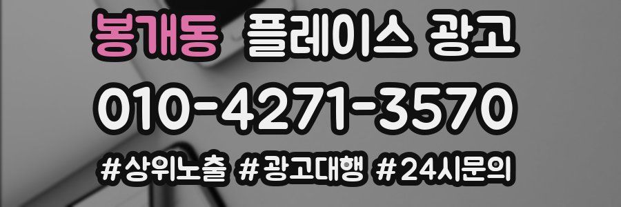 봉개동 플레이스 광고