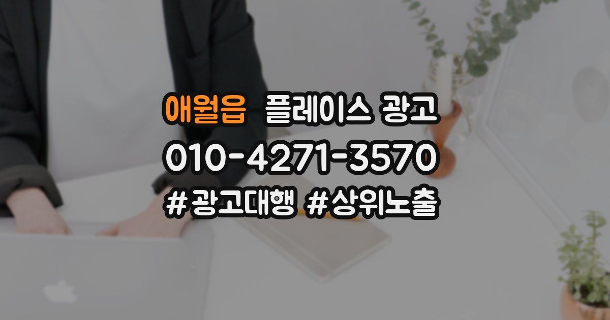 애월읍 플레이스 광고