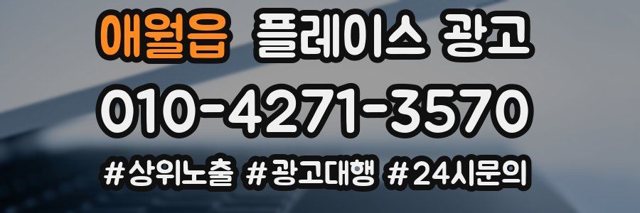 애월읍 플레이스 광고