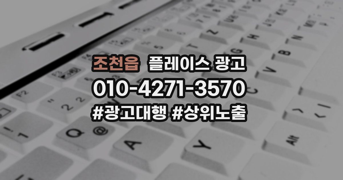 조천읍 플레이스 광고