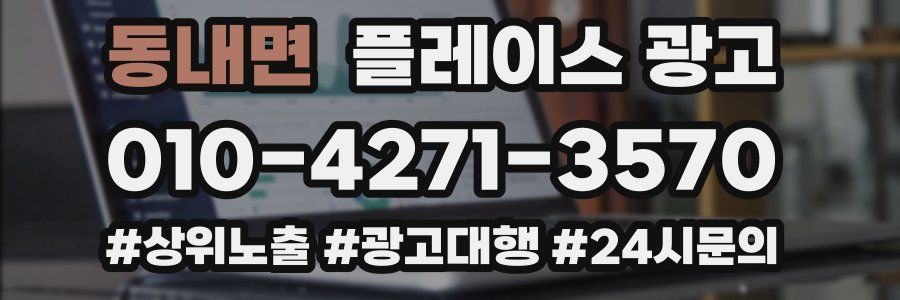 동내면 플레이스 광고
