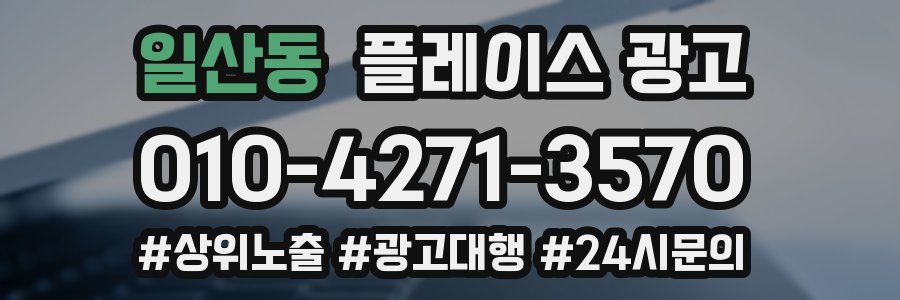 일산동 플레이스 광고