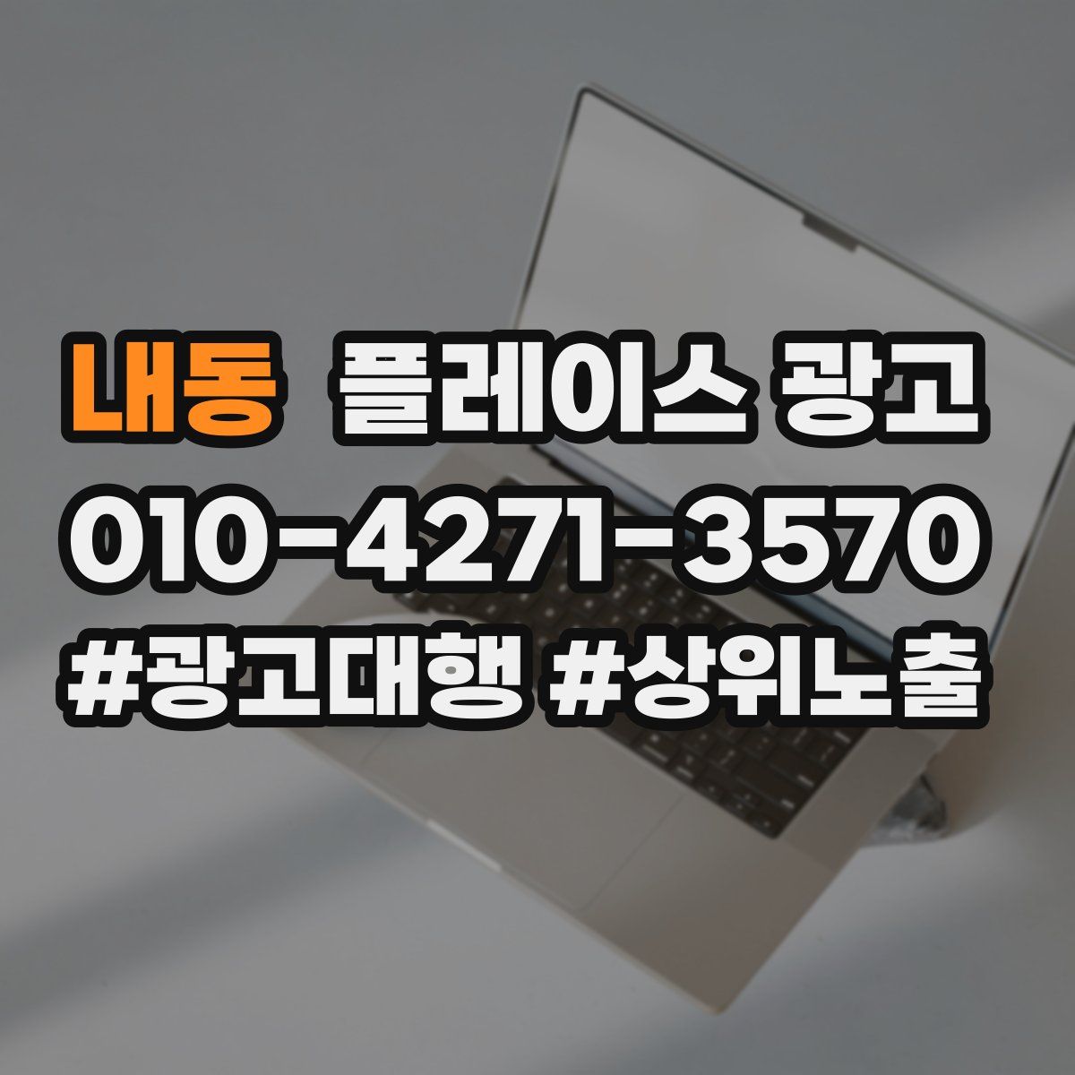 내동 플레이스 광고