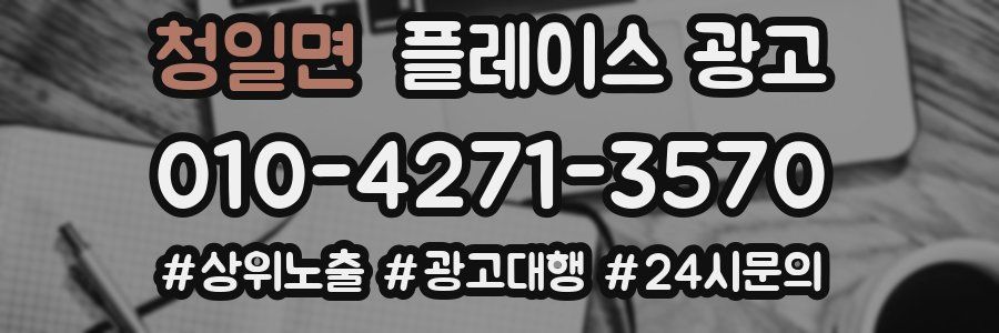 청일면 플레이스 광고