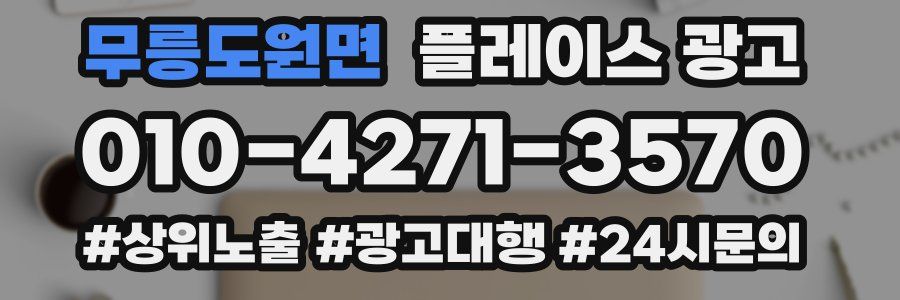 무릉도원면 플레이스 광고