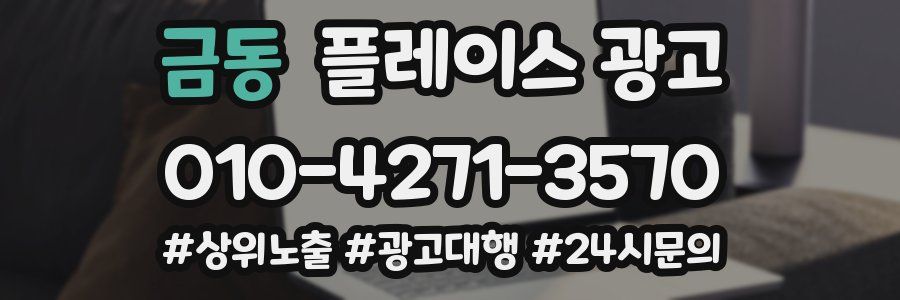 금동 플레이스 광고