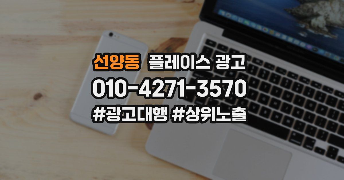선양동 플레이스 광고