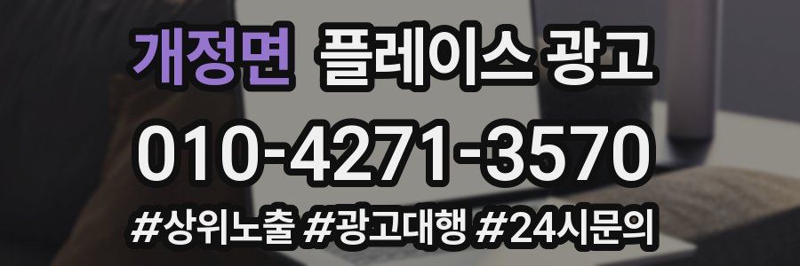 개정면 플레이스 광고