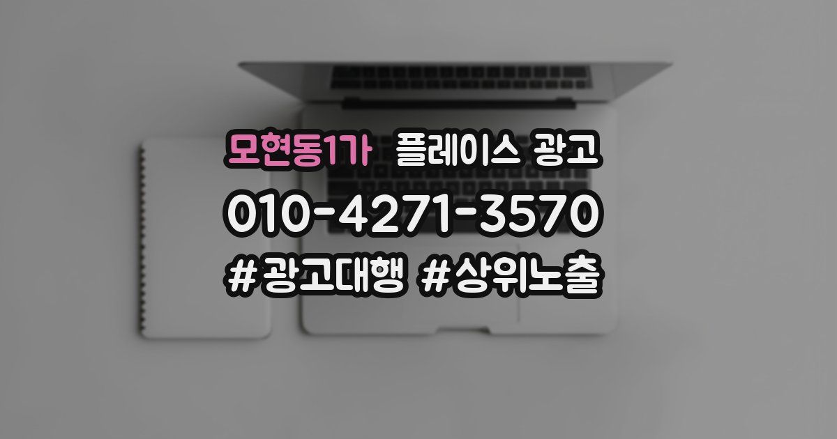 모현동1가 플레이스 광고