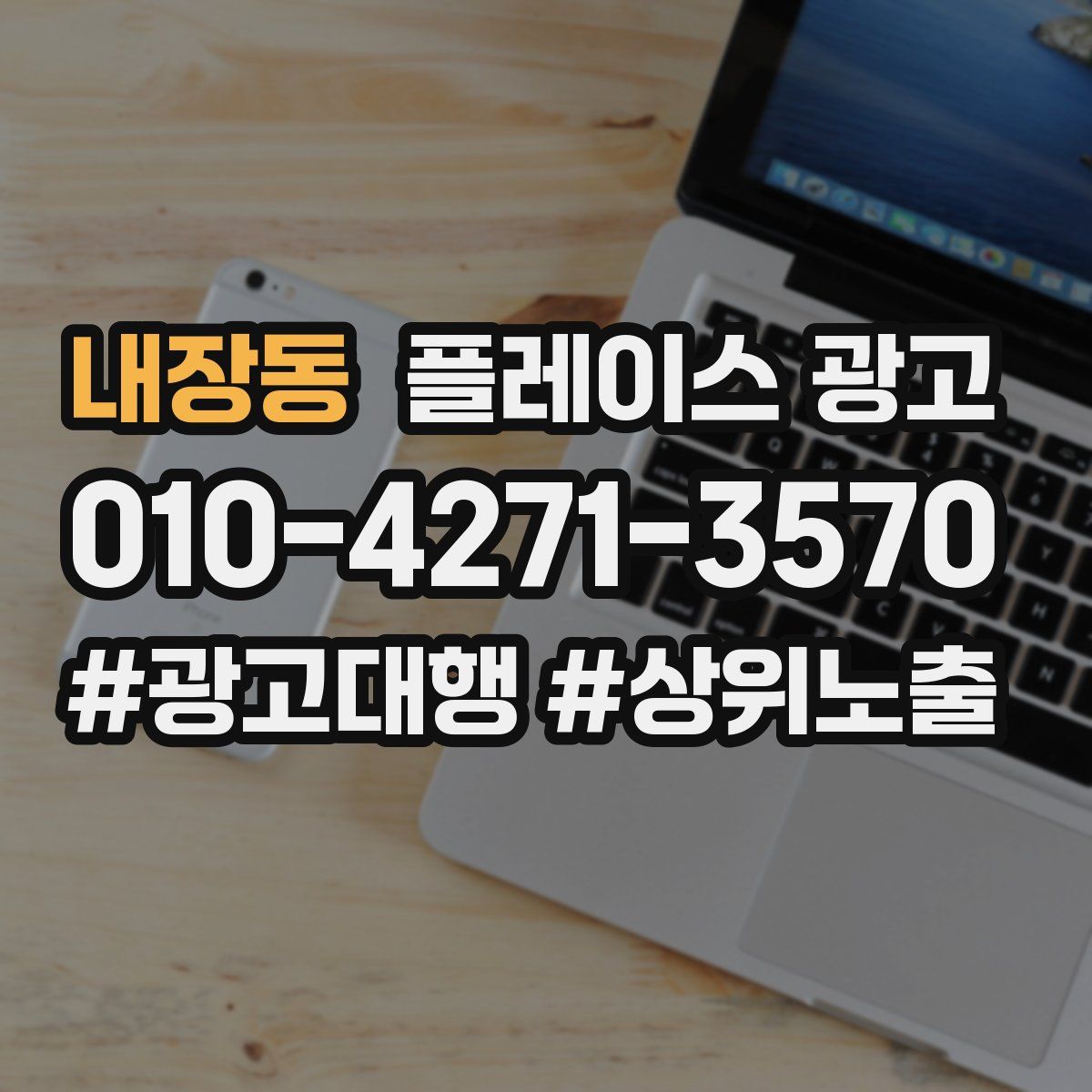 내장동 플레이스 광고