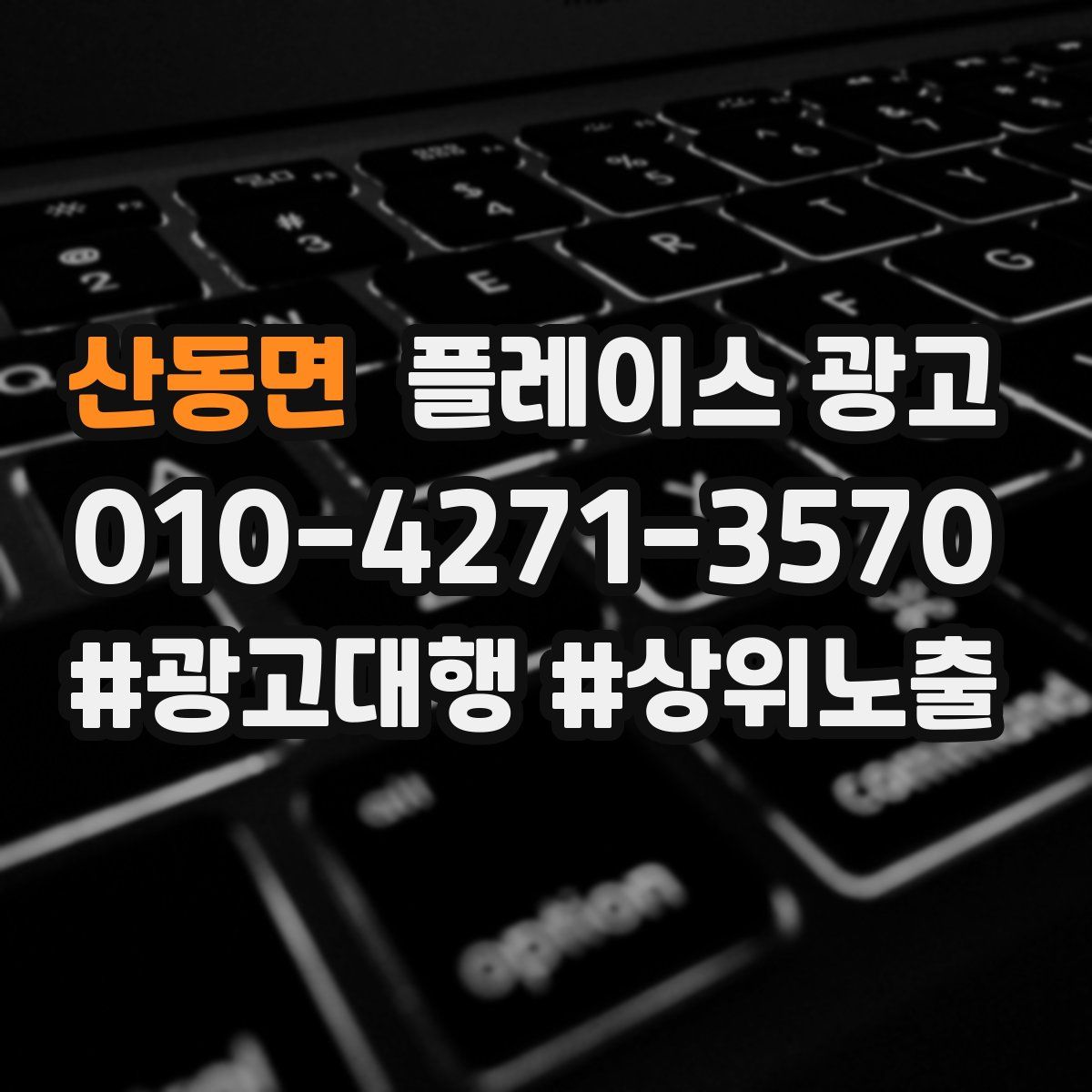 산동면 플레이스 광고