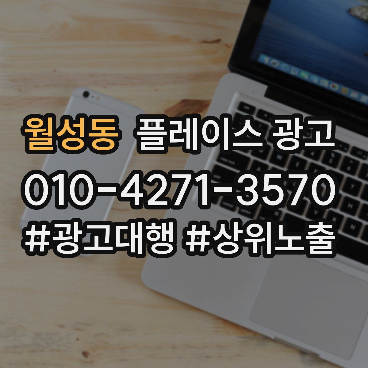 월성동 플레이스 광고