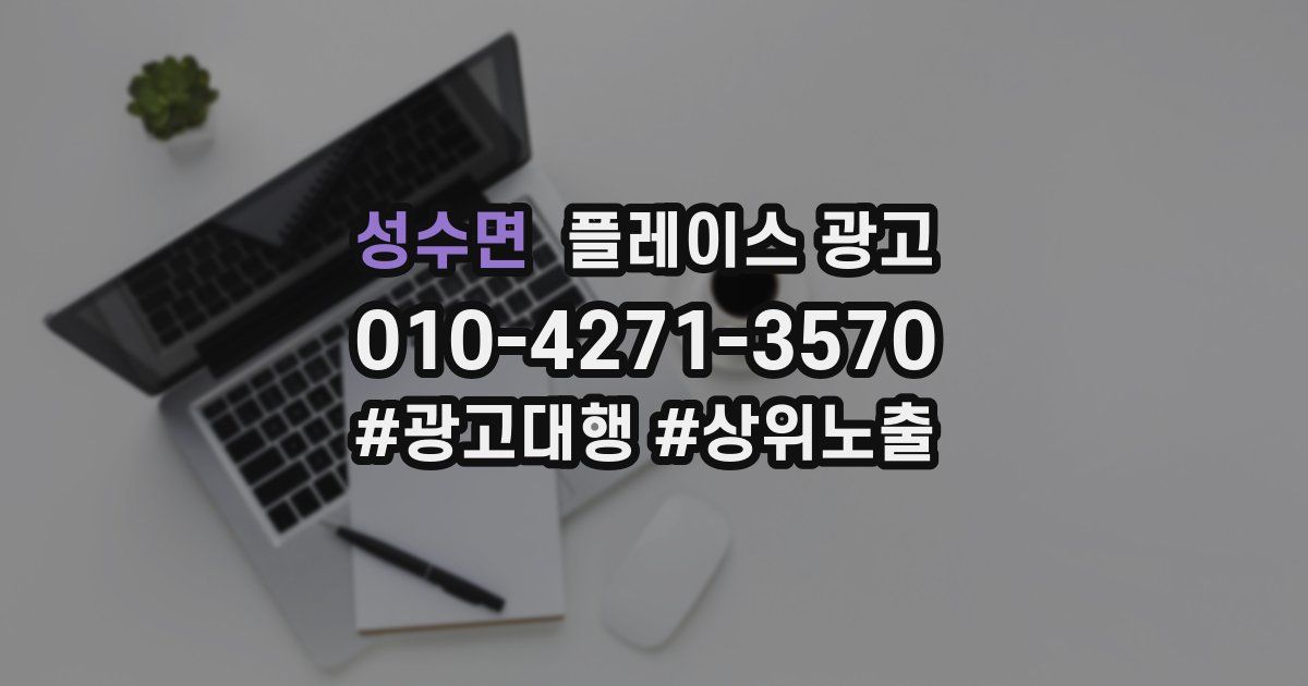 성수면 플레이스 광고