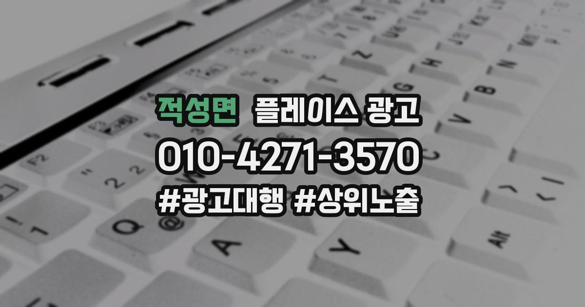 적성면 플레이스 광고