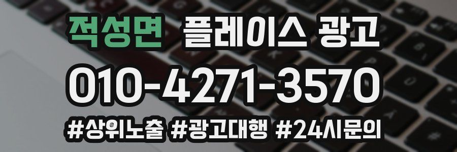 적성면 플레이스 광고