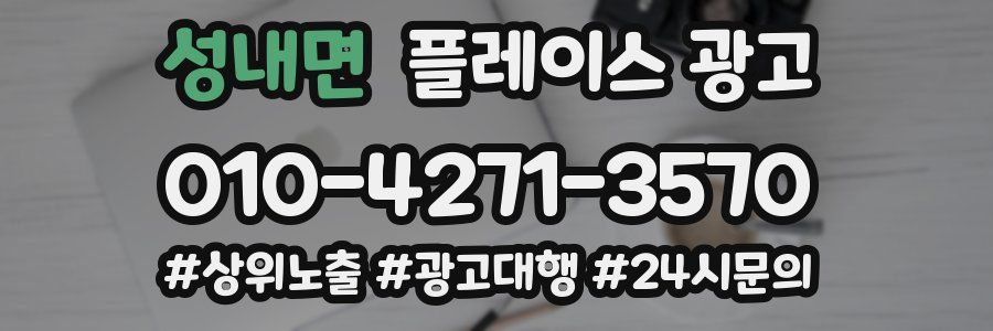 성내면 플레이스 광고