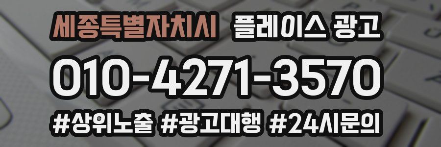세종특별자치시 플레이스 광고