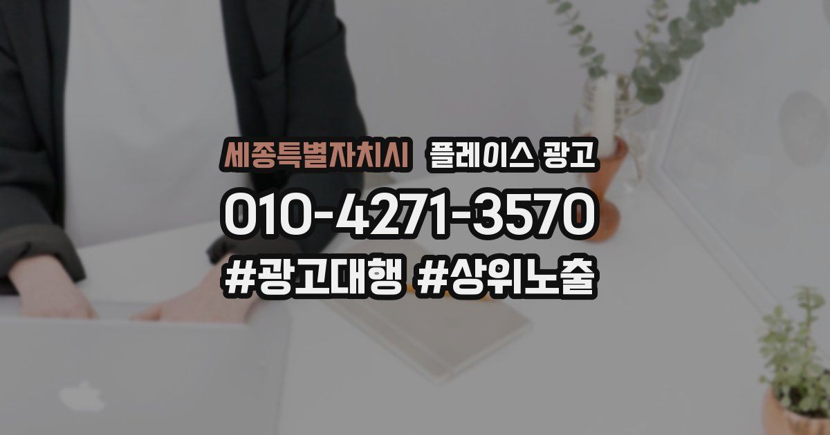 세종특별자치시 플레이스 광고